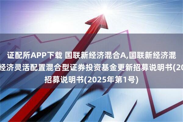 证配所APP下载 国联新经济混合A,国联新经济混合C: 国联新经济灵活配置混合型证券投资基金更新招募说明书(2025年第1号)