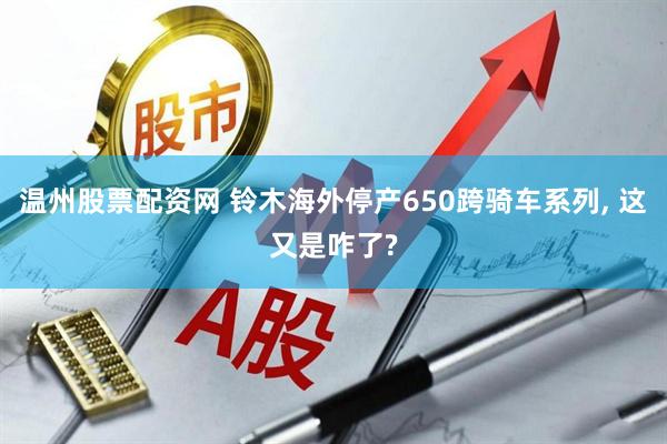 温州股票配资网 铃木海外停产650跨骑车系列, 这又是咋了?